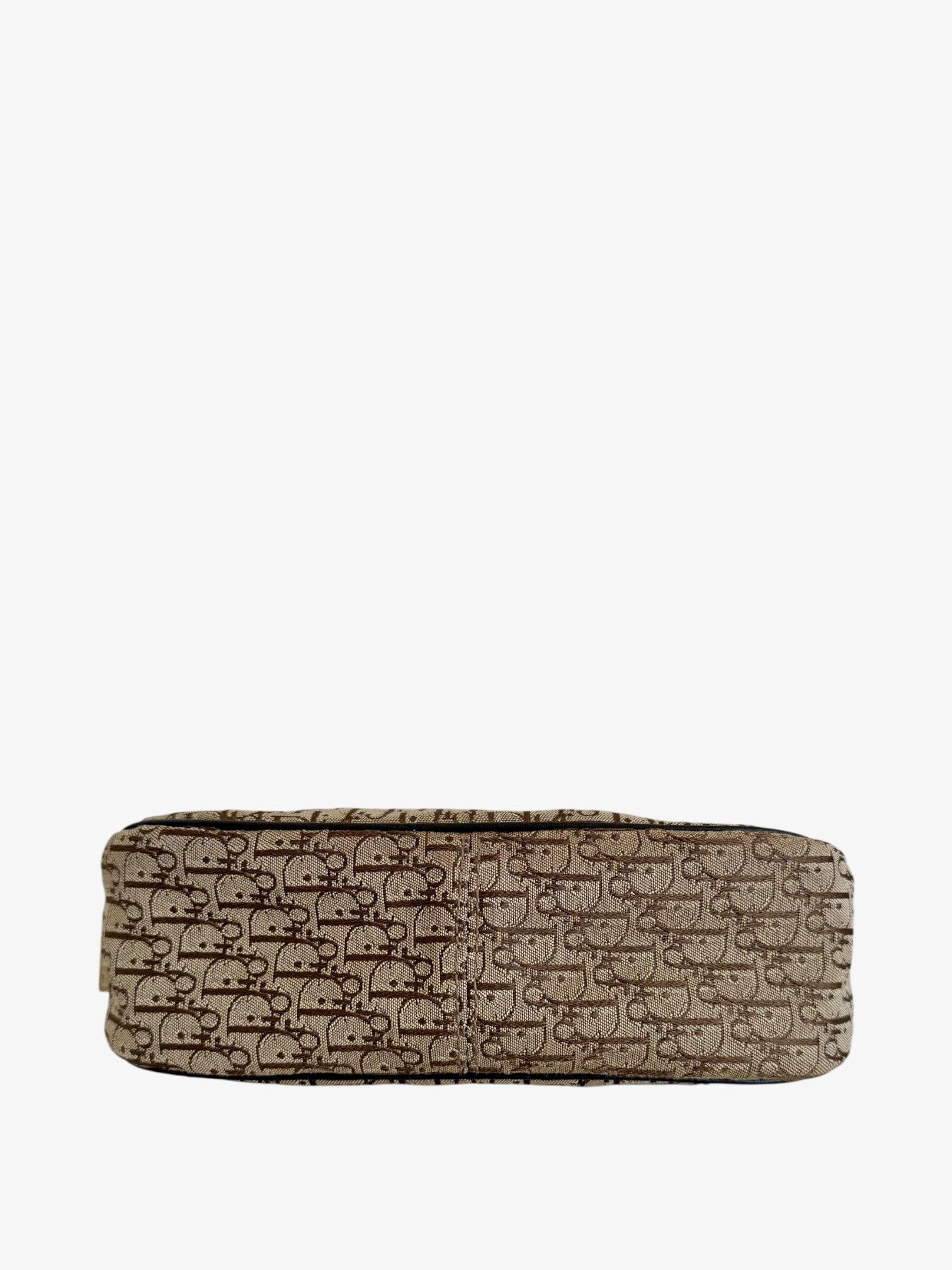 Christian Dior Trotter Street Chic Canvas & Leather Shoulder Bag